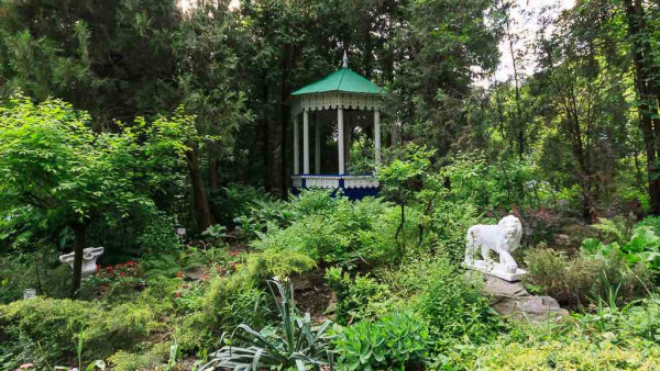 project "TREES IN THE BOTANICAL GARDEN" (Odesa, Ukraine)