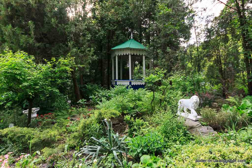 project "TREES IN THE BOTANICAL GARDEN" (Odesa, Ukraine)