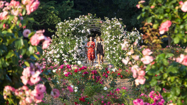project "TWO ROSARIES IN THE BOTANICAL GARDENS" (Odesa, Ukraine)