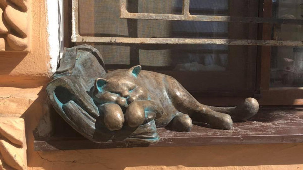 project "Route - ODESA CATS" (Odesa, Ukraine)